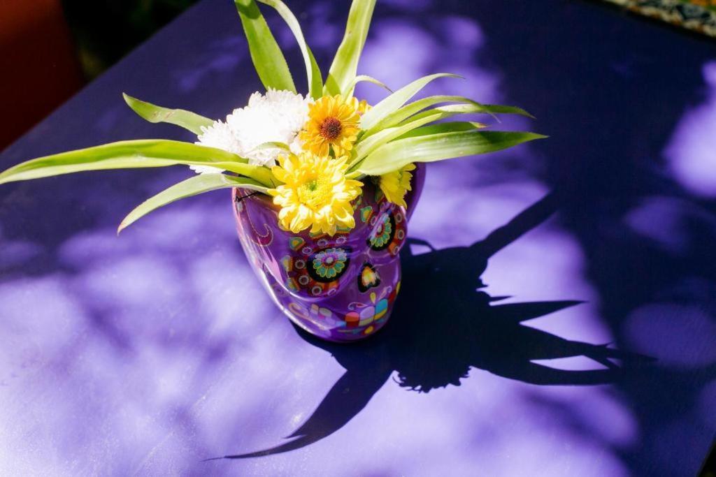 "Vainilla B&B" - Stylish Comfort In Playa Del Carmen Exterior photo