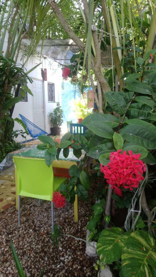 "Vainilla B&B" - Stylish Comfort In Playa Del Carmen Exterior photo