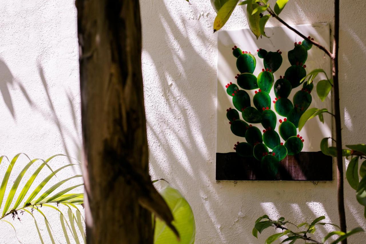 "Vainilla B&B" - Stylish Comfort In Playa Del Carmen Exterior photo